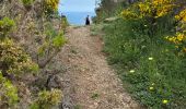 Tocht  Collioure - Vignes et montagne Collioure  - Photo 11