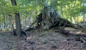 Trail Walking Saint-Geniez - S GENIEZ . ABROS . LA FOREST . COL DE MOUNIS . O L M - Photo 8