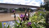 Tour Wandern Maisons-Alfort - Mausobs Alfort bois de Vincennes  - Photo 2