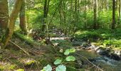 Tocht Stappen Gedinne - Balade à Bourseigne-Neuve - Gedinne - Photo 8