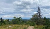 Randonnée Marche Lamoura - Chalet de la Frasse - Photo 2