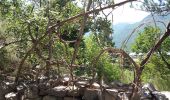 Trail Walking La Roche-des-Arnauds - SityTrail - Circuit de la combe du Duc - Photo 3