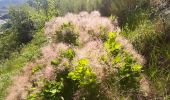 Tour Wandern La Javie - LA JAVIE,  Esclangon , vieil Esclangon,  le Velodrome , passerelle du Bes, Facibelle , Tanaron o n l s  - Photo 1