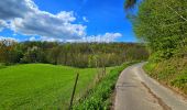 Trail Walking Thuin - Balade dans le Bois du Grand Bon Dieu-Thuin - Photo 5