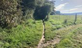 Tocht Elektrische fiets Assesse - Crupet -Maillen - Photo 1