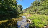 Percorso Marcia Sauve - Sauve-Quissac-Vidourle - Photo 15