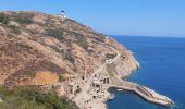 Tour Wandern Calvi - Phare de Revellata - Photo 6