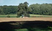 Tour Zu Fuß Chaumont-Gistoux - #181126 - Bonlez, Bois et réserve naturelle de l'Étoile *** - Photo 2