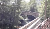 Percorso Marcia Villefranche-de-Conflent - Boucle Volta - Photo 1