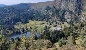 Randonnée Marche Le Bonhomme - Lac des truites - Gazon du Faing - Photo 2