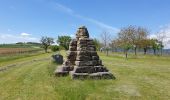 Trail Walking Dossenheim-sur-Zinsel - Le Bastberg depuis Dossenheim-sur-Zinsel - Photo 14