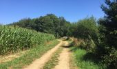 Tour Wandern Tintigny - La Rando du Bian: Autour de Lahage ( variante)  - Photo 1