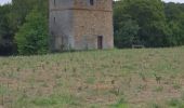 Excursión Senderismo Saclay - Rumba  de Saclay à  Vauhallan - Photo 2