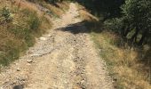 Trail On foot Cernobbio - Monte Bisbino-Monte Generoso - Photo 7