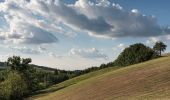 Tour Zu Fuß Viano - Ca' Bertacchi - Regnano - Santa Maria al Castello - Ca' Bertacchi - Photo 7