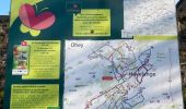 Trail Walking Somme-Leuze - 20,5 km M Sentiers des arts Havelange 20km - Photo 11