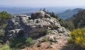 Randonnée Marche La Roquebrussanne - La Roque La loube Col de la barraque les orris - Photo 9