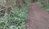 Trail Walking Crouy-sur-Ourcq - Marais de Negando et le Clignon depuis Crouy sur Ourcq - Photo 14