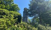 Tour Wandern Ottenhöfen im Schwarzwald - Karlsruher Gray - Photo 16