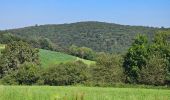 Tour Wandern Manhay - Balade à Deux-Rys - Manhay - Photo 15