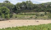 Tour Wandern La Cadière-d'Azur - LA CADIERE  - Photo 8