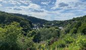 Tour Wandern Hohenfels - Escapardenne Eisleck Trail: Nadrin - La Roche-en-Ardenne - Photo 7