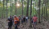 Tour Wandern Étalle - la rouge eau - Photo 8