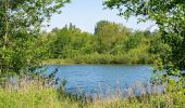 Tocht Te voet Höxter - Erlesene Natur - Dem Wasserdrachen auf der Spur - Photo 3