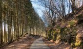 Trail On foot Habscht - Fleche Bleu Eischen II - Photo 1