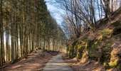 Tour Zu Fuß Habscht - Auto-Pédestre Eischen II - Photo 10