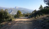 Tocht Stappen Gémenos - Coulin, Mont Cruvelier, Sommet de Bigou - Photo 7