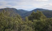 Trail Walking Signes - Plateau de la Limate en partant de Siou Blanc - Photo 4