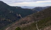 Trail Walking Saint-Raphaël - Pic de l'Ours les Grues depuis Belle Barbe - Photo 9