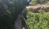 Randonnée Trail ביתר עילית - Husan WHP - Photo 15