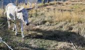 Tour Wandern Bilieu - la plage 2 retour - Photo 2