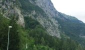 Trail On foot Forni di Sotto - IT-378 - Photo 1