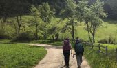 Trail Walking Saint-Martin-de-Clelles - Goût ARGOUD 24-05-2021 - Photo 16