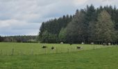 Tour Wandern Hohenfels - rando ornitho wibrin 26-04-2024 - Photo 1