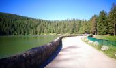Randonnée Marche Soultzeren - Boucle Schildmatt / Lac vert / Auberge du Tanet - Photo 6