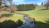 Trail Walking Vielsalm - HÉBRONVAL Colanhan - Photo 2