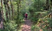 Trail Nordic walking Peyreleau - Ermitage et corniches de St Michel  - Photo 16
