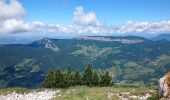 Randonnée Marche Entremont-le-Vieux - Croix de l Alpe Le Pinet  - Photo 12