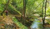 Tocht Stappen Doische - La Boucle de l'Hermeton - Photo 11