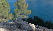 Excursión Senderismo Cassis - Cassis, les trois calanques, la pomme de pin (cacau), le trou du souffleur... - Photo 10