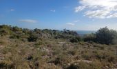 Tocht Noords wandelen Gruissan - Le massif de la Clape Gruissan - Photo 14