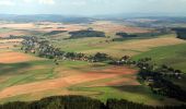 Trail On foot Machov - [Ž] Pánův kříž - Bor - Photo 10