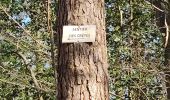 Tocht Stappen Durbuy - Heyd avec le chemin des crêtes  - Photo 16