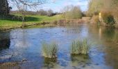 Trail On foot Guildford - Puttenham walk (SCC) - Photo 4