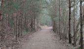 Trail Walking Maasmechelen - La balade des Terhills  - Photo 16