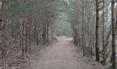 Tour Wandern Maasmechelen - La balade des Terhills  - Photo 16